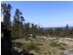 21339 Tasman Highway, Four Mile Creek TAS 7215