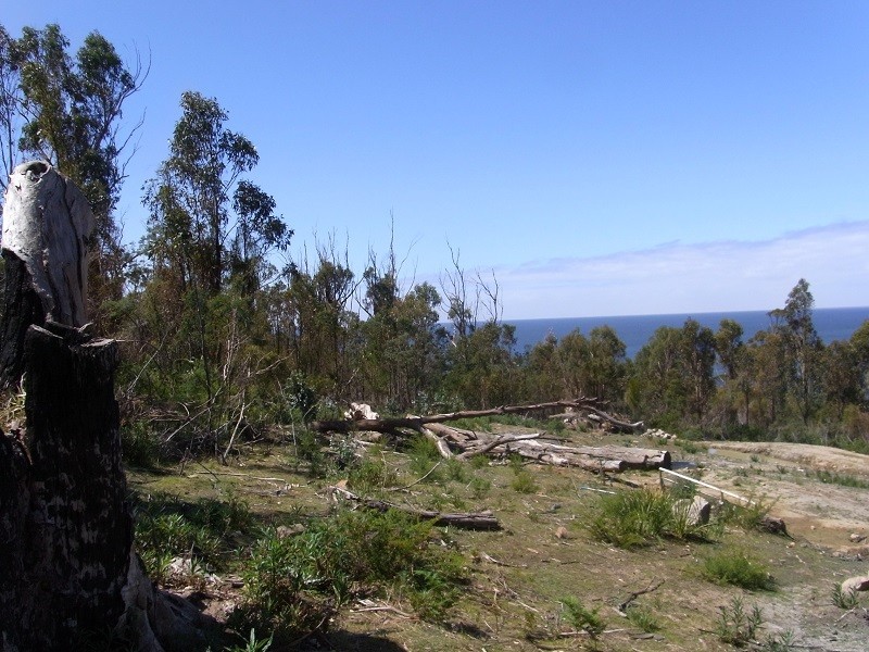 21339 Tasman Highway, Four Mile Creek TAS 7215