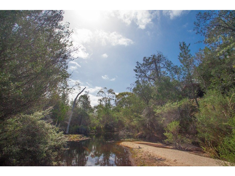 431 Freycinet Drive, Coles Bay TAS 7215