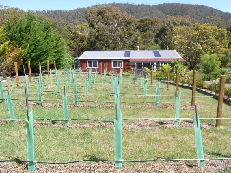 57 Gordon Street, Bicheno TAS 7215