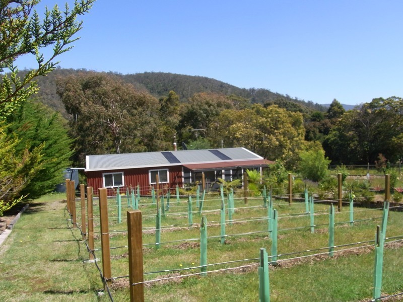57 Gordon Street, Bicheno TAS 7215