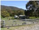 55 Gordon Street, Bicheno TAS 7215
