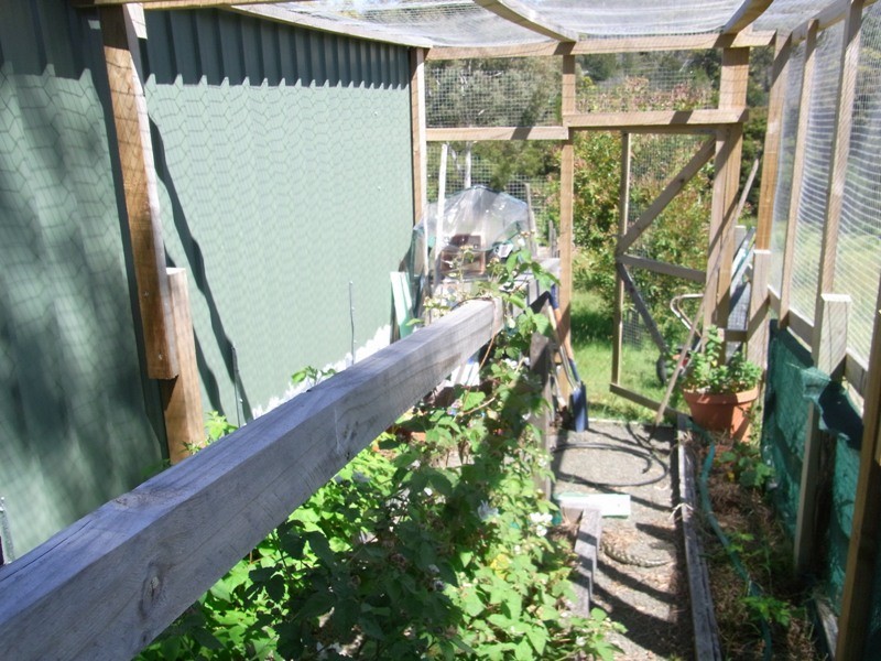 55 Gordon Street, Bicheno TAS 7215