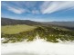 . Tasman Highway, Bicheno TAS 7215