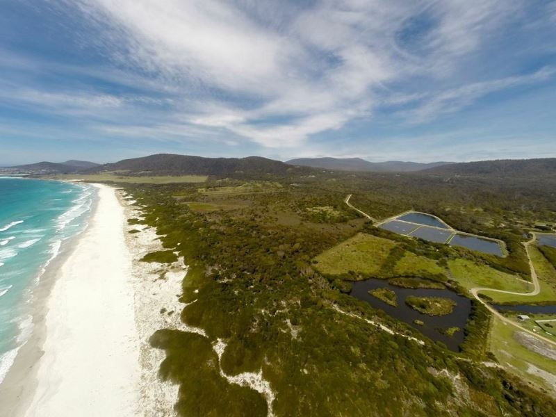 . Tasman Highway, Bicheno TAS 7215
