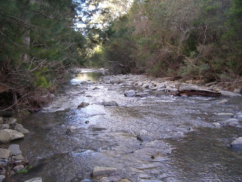 RA23 Deals Road, Bicheno TAS 7215