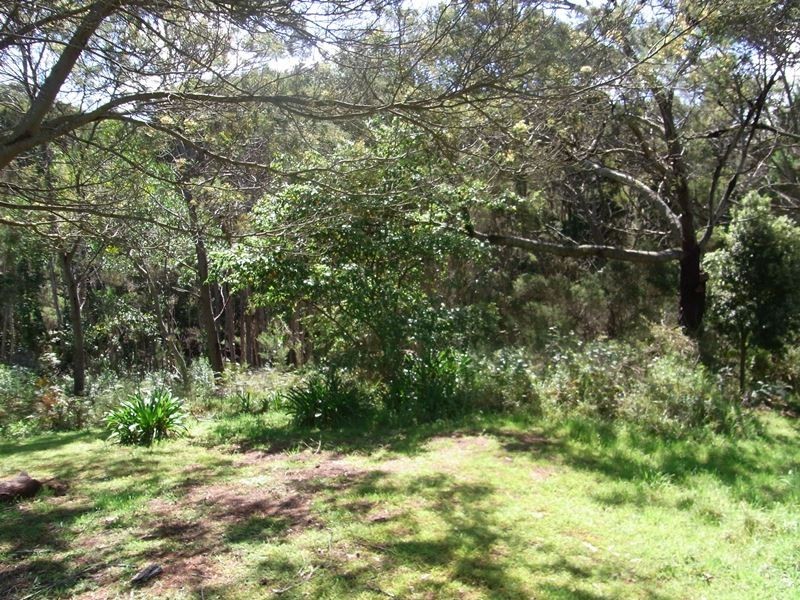 Lot 2, 41 Gordon Street, Bicheno TAS 7215