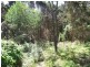 Lot 2, 41 Gordon Street, Bicheno TAS 7215