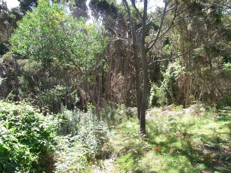 Lot 2, 41 Gordon Street, Bicheno TAS 7215