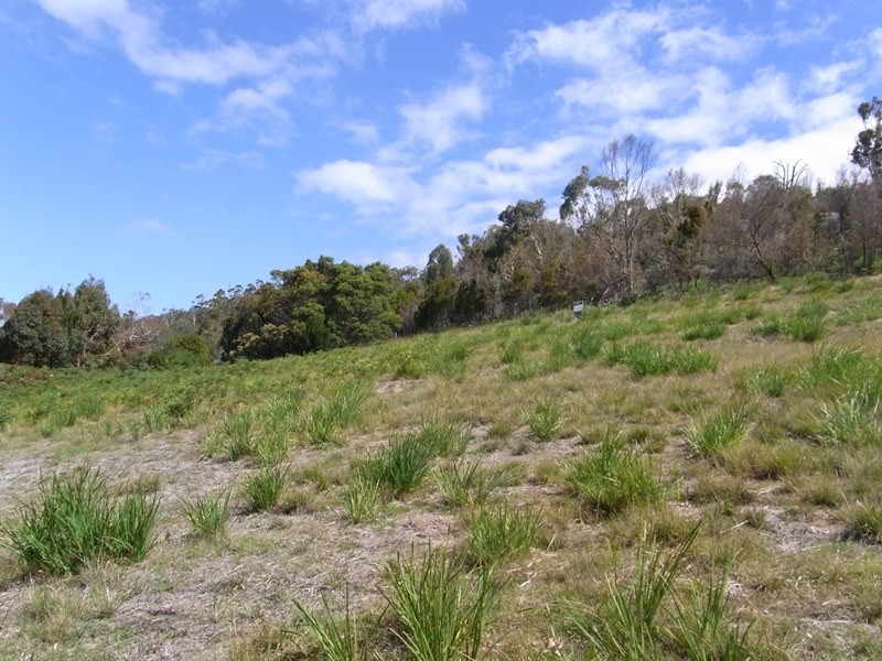 23-31 Murray Street, Bicheno TAS 7215