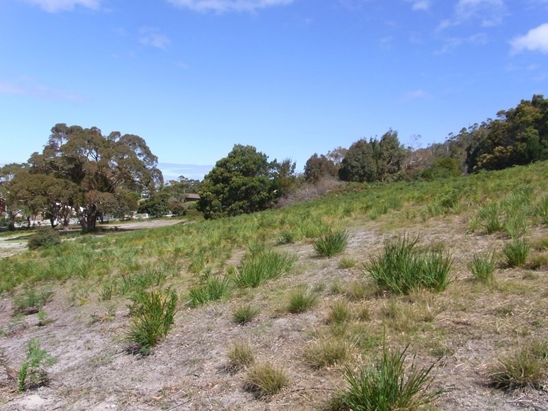 23-31 Murray Street, Bicheno TAS 7215