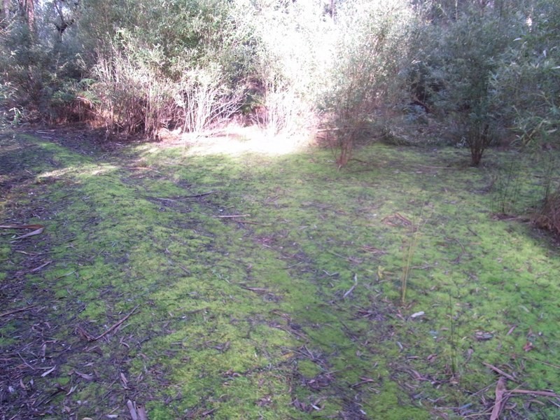 Lot 1 Tasman Hwy, Bicheno TAS 7215