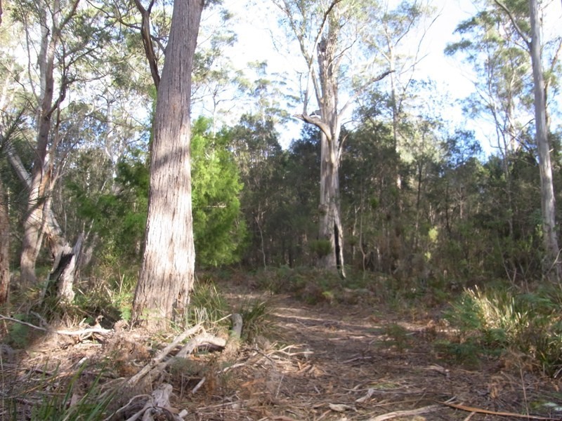Lot 1 Tasman Hwy, Bicheno TAS 7215
