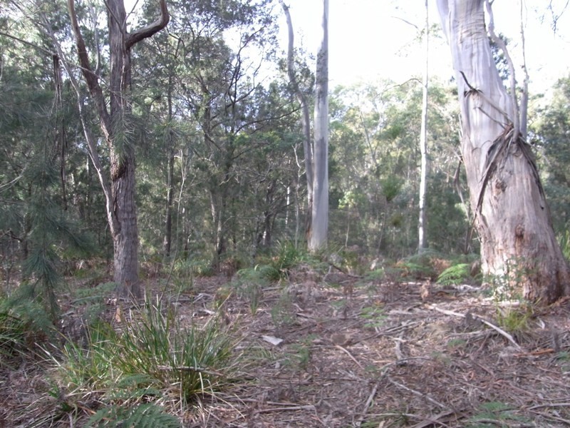 Lot 1 Tasman Hwy, Bicheno TAS 7215