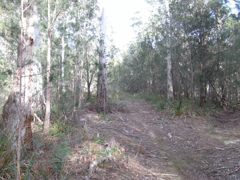 Lot 1 Tasman Hwy, Bicheno TAS 7215