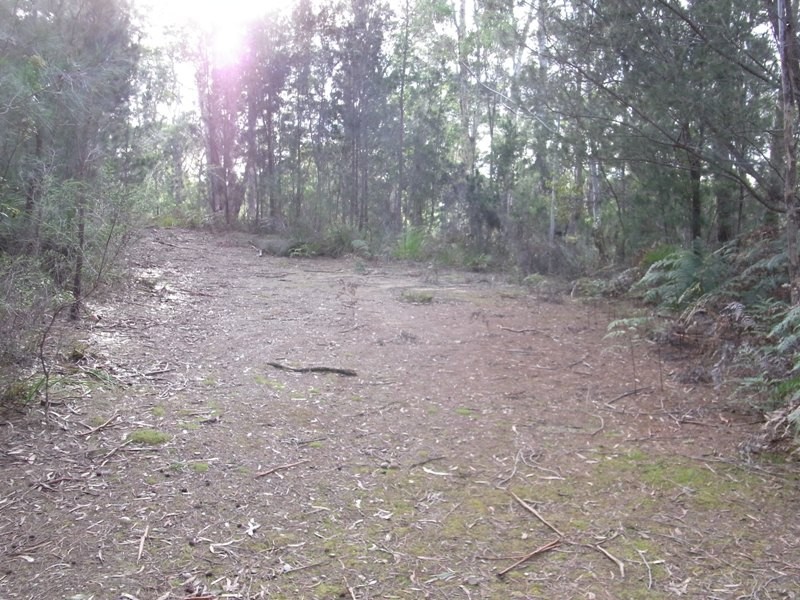 Lot 1 Tasman Hwy, Bicheno TAS 7215