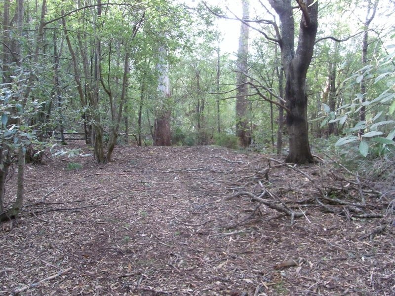 Lot 1 Tasman Hwy, Bicheno TAS 7215