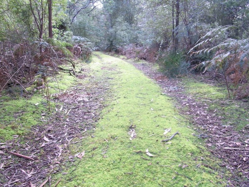 Lot 1 Tasman Hwy, Bicheno TAS 7215