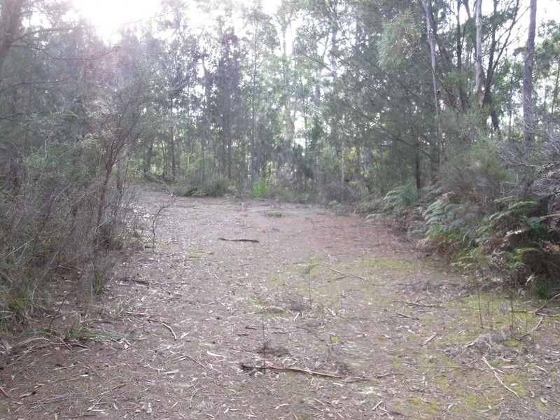 Lot 1 Tasman Hwy, Bicheno TAS 7215