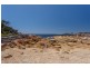 8 Murray Street, Bicheno TAS 7215
