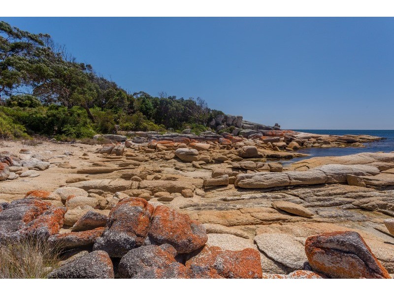 8 Murray Street, Bicheno TAS 7215