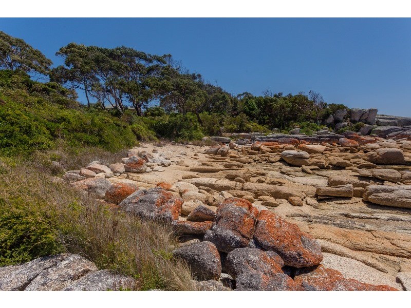 8 Murray Street, Bicheno TAS 7215