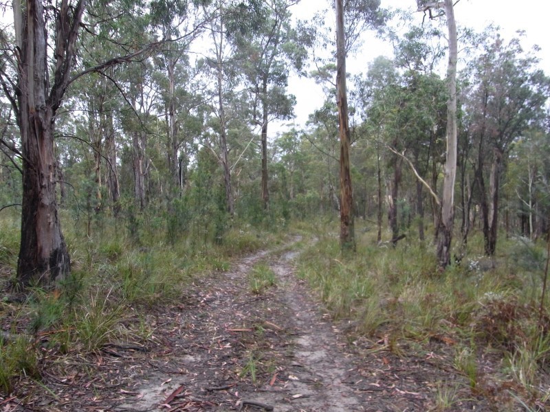 7 and 11 Barnard Drive, Bicheno TAS 7215