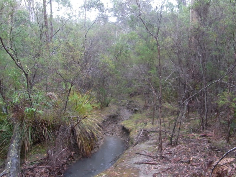 7 and 11 Barnard Drive, Bicheno TAS 7215