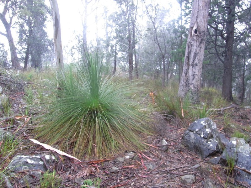 7 and 11 Barnard Drive, Bicheno TAS 7215