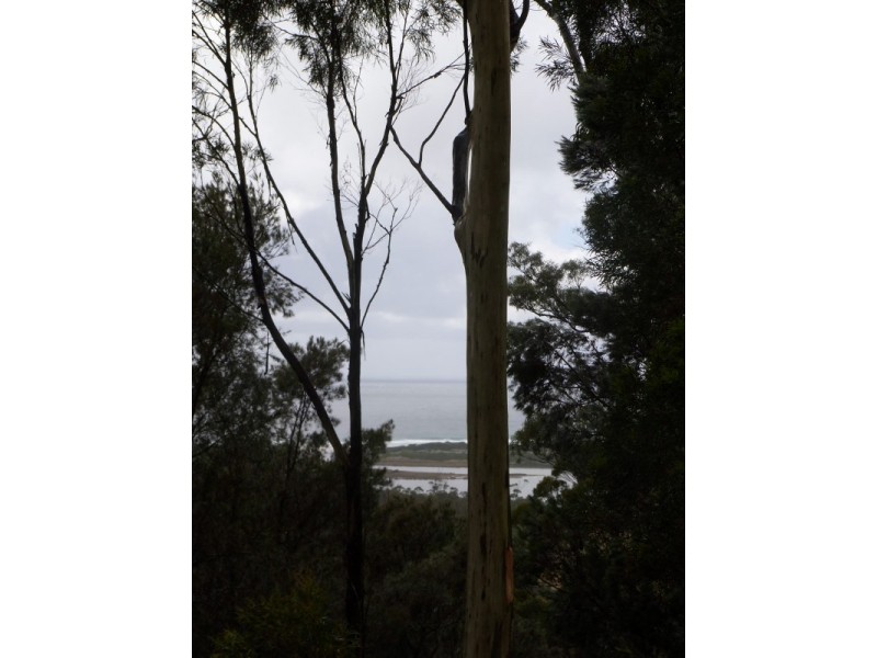 7 and 11 Barnard Drive, Bicheno TAS 7215