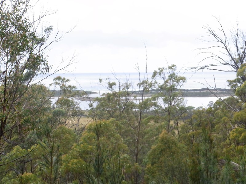 7 and 11 Barnard Drive, Bicheno TAS 7215