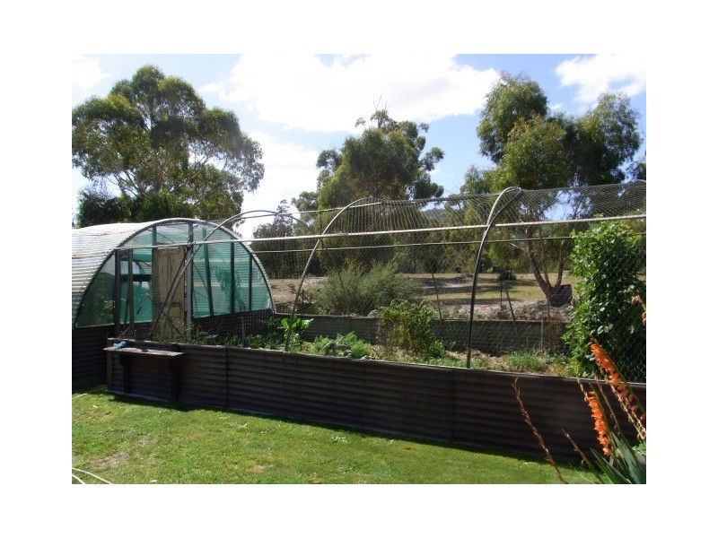 1435 Coles Bay Road, Coles Bay TAS 7215