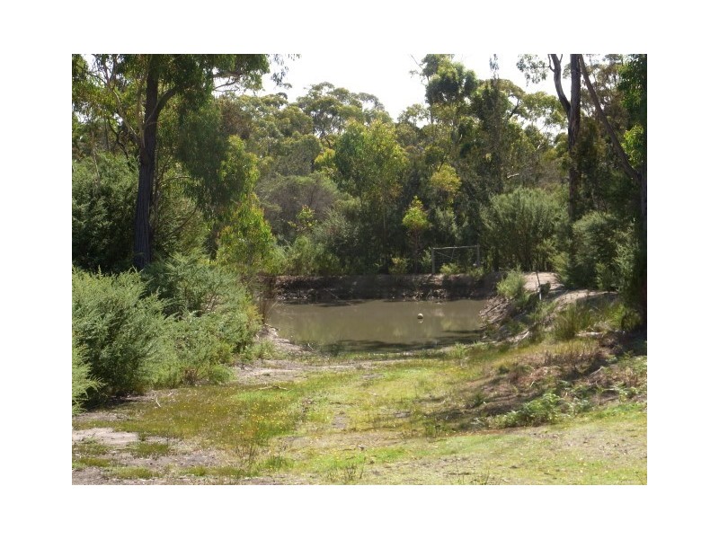 1435 Coles Bay Road, Coles Bay TAS 7215