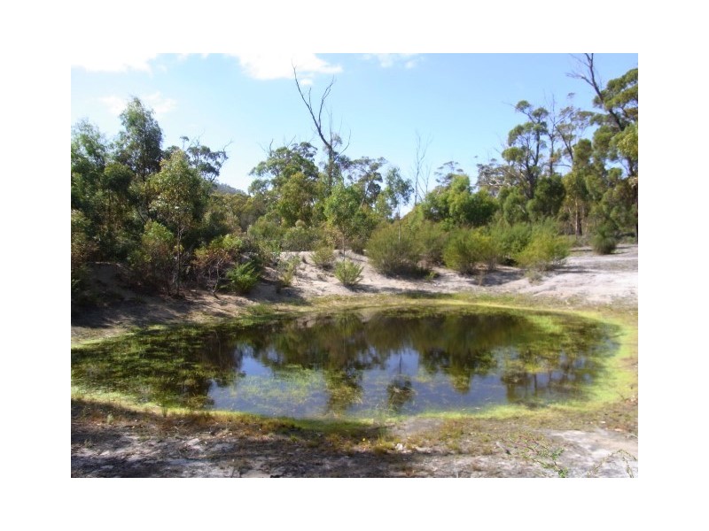 1435 Coles Bay Road, Coles Bay TAS 7215