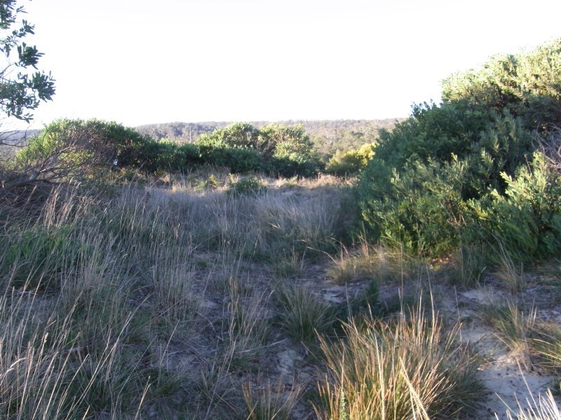 145 Swanwick Drive, Coles Bay TAS 7215
