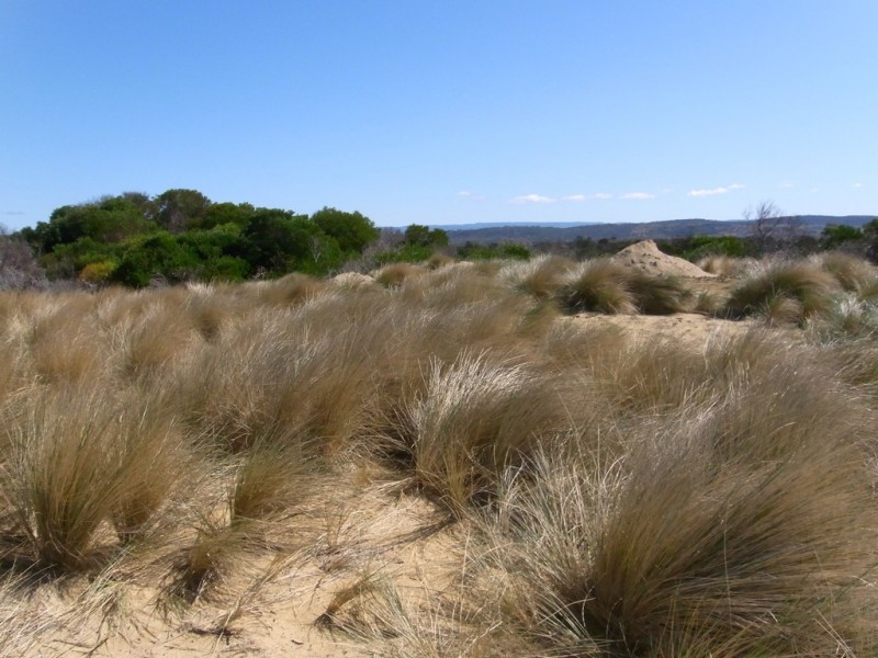 653 Dolphin Sands Road, Dolphin Sands TAS 7190