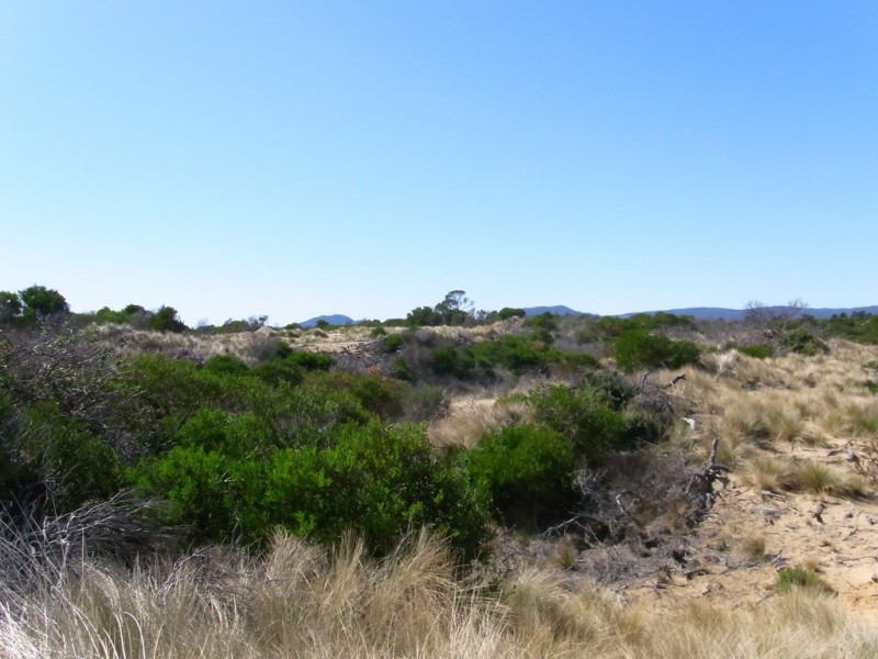 653 Dolphin Sands Road, Dolphin Sands TAS 7190