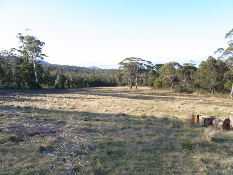 1 Barnard Drive, Bicheno TAS 7215