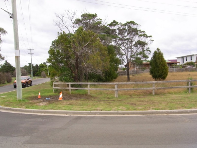 20 Francis Street, Swansea TAS 7190