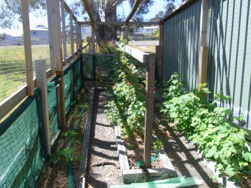 55 Gordon Street, Bicheno TAS 7215