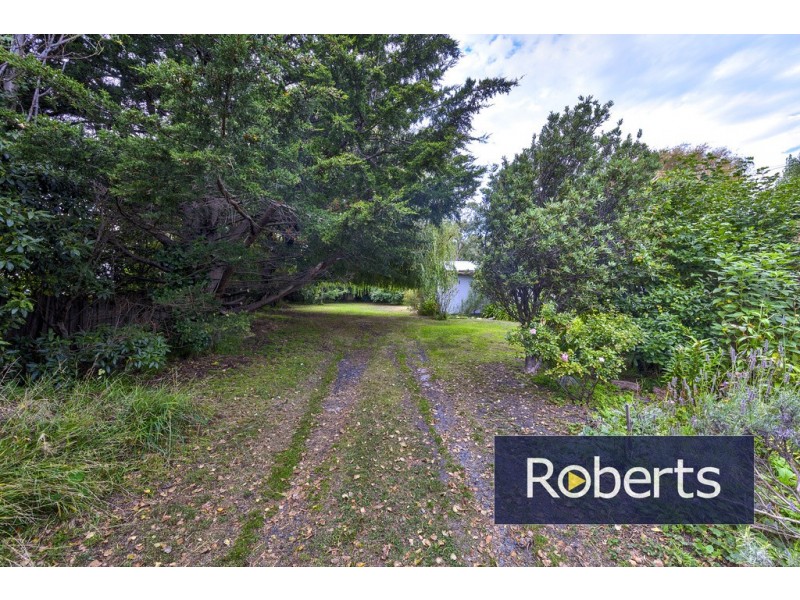 77 Burgess Street, Bicheno TAS 7215