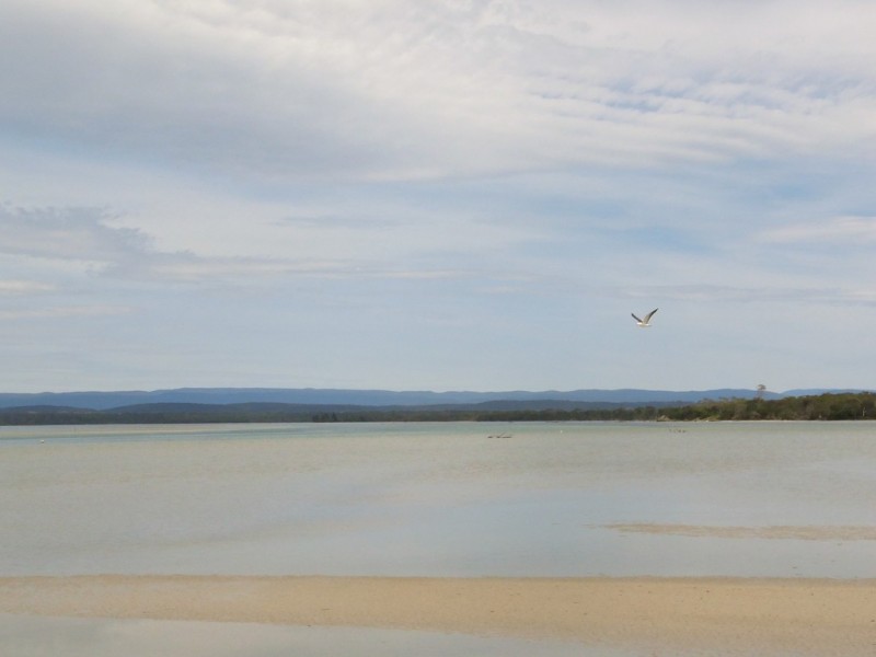 20 Swanwick Drive, Coles Bay TAS 7215