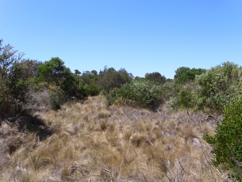 Lot 173 Dolphin Sands Rd, Dolphin Sands TAS 7190