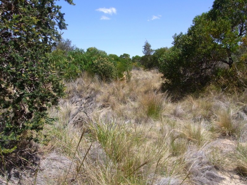 Lot 173 Dolphin Sands Rd, Dolphin Sands TAS 7190