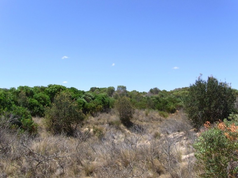 Lot 173 Dolphin Sands Rd, Dolphin Sands TAS 7190