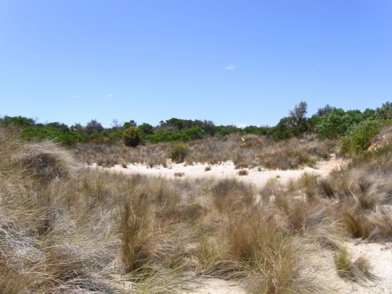 Lot 173 Dolphin Sands Rd, Dolphin Sands TAS 7190