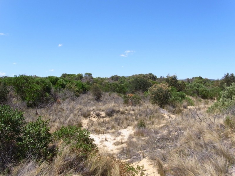 Lot 173 Dolphin Sands Rd, Dolphin Sands TAS 7190
