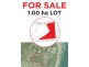 Lot 2, 286 Harvey’s Farm Rd, Bicheno TAS 7215