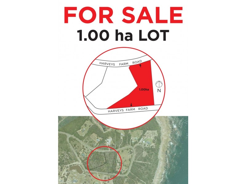 Lot 2, 286 Harvey’s Farm Rd, Bicheno TAS 7215
