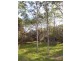 15 Deals Road, Bicheno TAS 7215